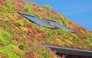 Woodcutts living roof systems