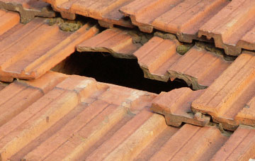 roof repair Woodcutts, Dorset