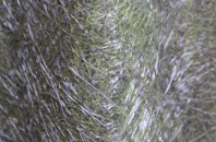 Woodcutts fibreglass roof work